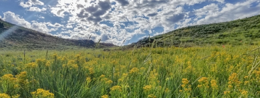 Sun Valley Lodging