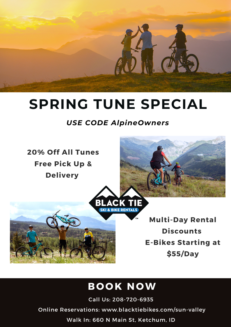 spring bike tune-up special for owners