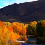 Fall in Sun Valley