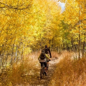Fall Mountain Biking
