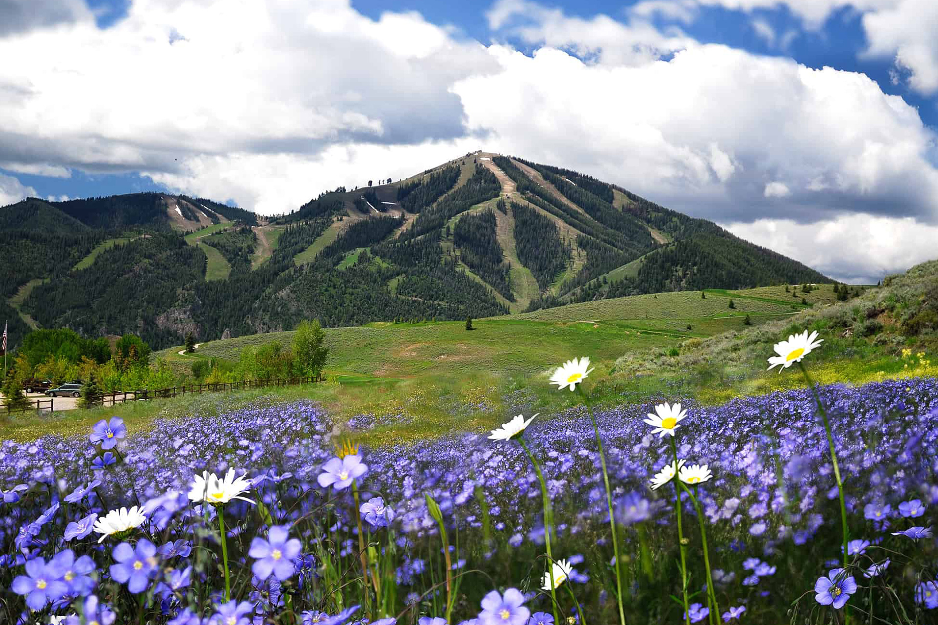 Sun Valley Luxury Rentals I Alpine Lodging Sun Valley